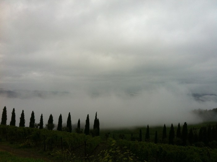 tuscany1