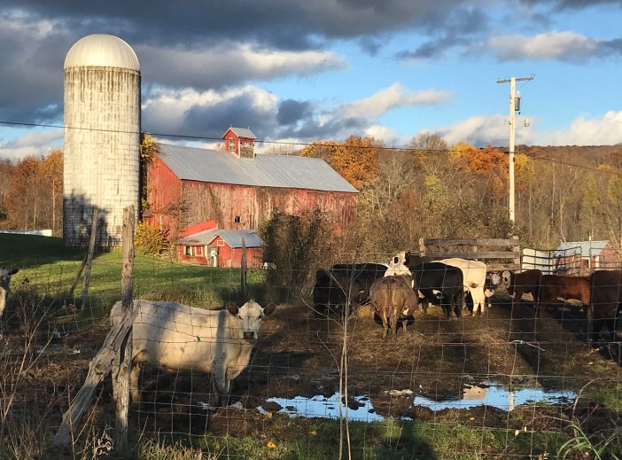 Farm after a storm.vinchesi