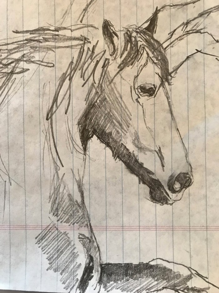 Horse study.vinchesi.1