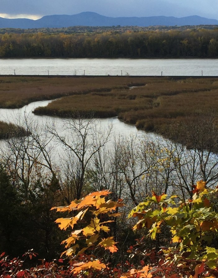 Hudson views in fall - orange leaves