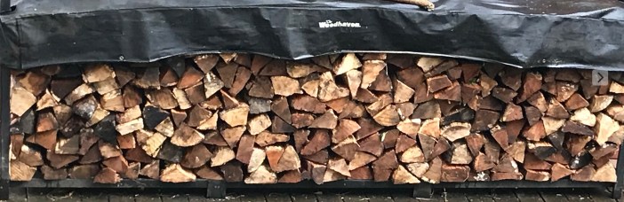 WoodPile in spring