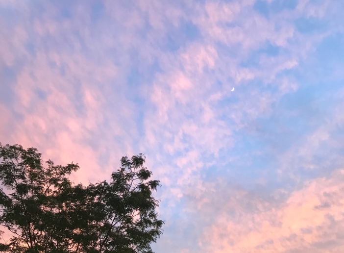 Blue pink sky with moon