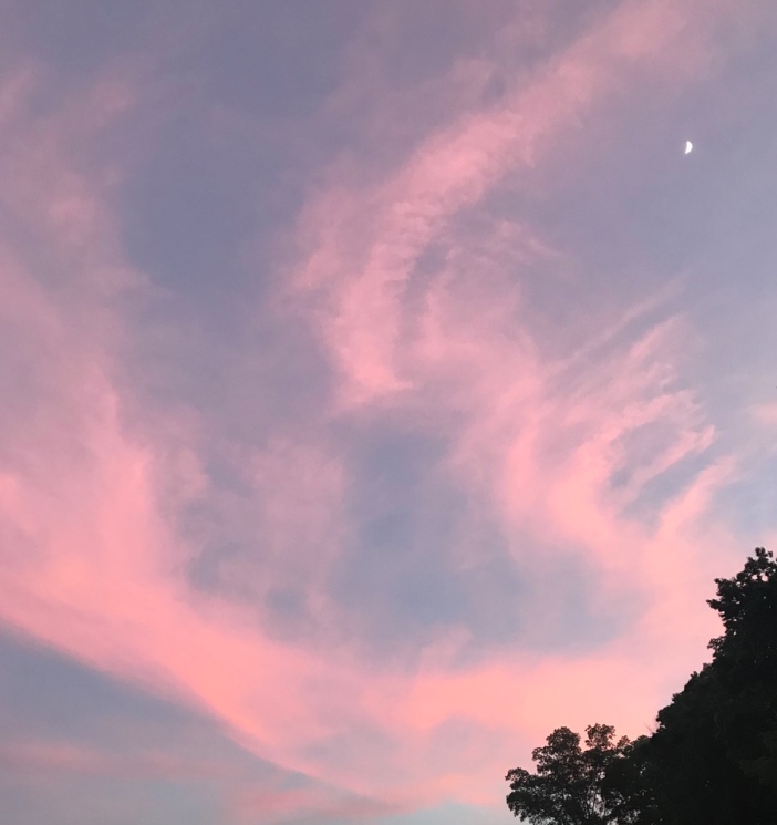 Blue pink sky with moon2